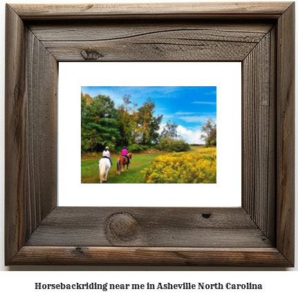 horseback riding near me in Asheville, North Carolina